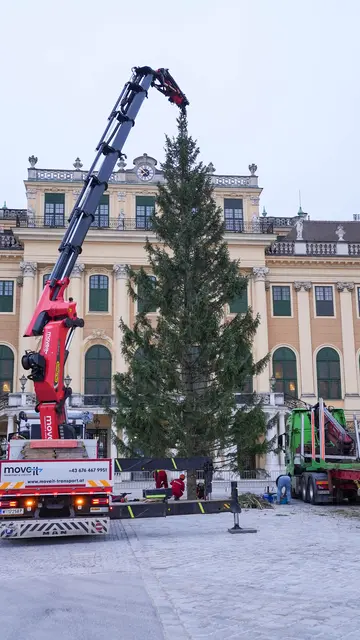 Foto: Andreas Pölzl/MeinBezirk