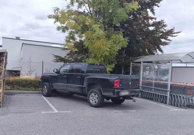 Am OBI-Parkplatz in Zwettl wurde dieser Kunstparker am Freitag, 17. Oktober 2025, von einem MeinBezirk-Leser abgelichtet. | Foto: privat