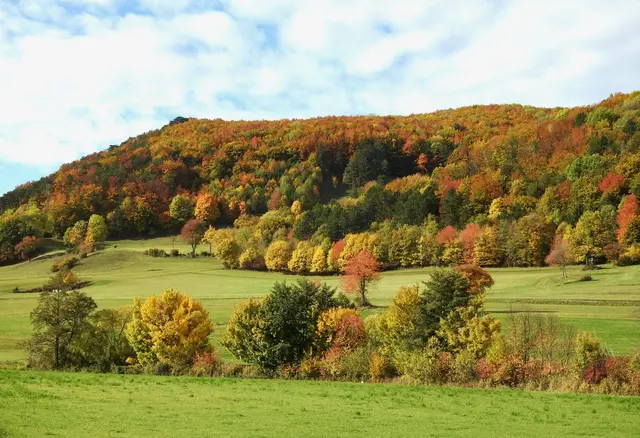 Vollherbst – ein Meer an bunten Farben; © H. Kurz
