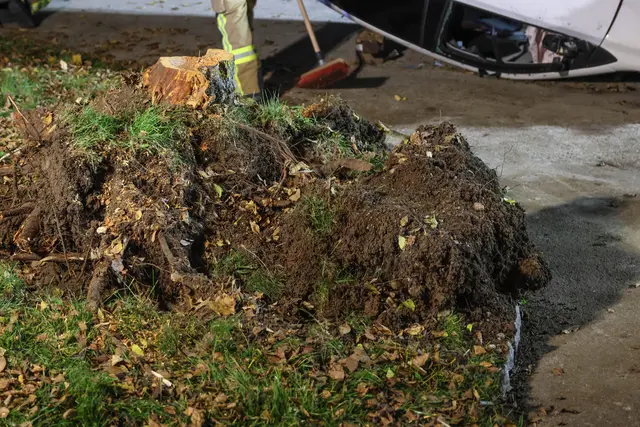 Foto: laumat.at/Matthias Lauber