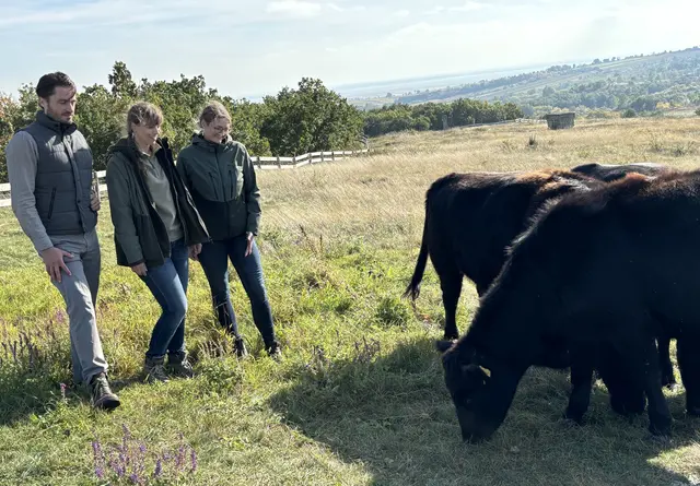 Foto: Barbara Babonitsch-Diewald