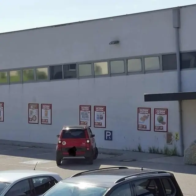 Kunstparker der Woche – gesichtet von einer MeinBezirk Leserin am 9. August 2025 auf einem Parkplatz eines Lebensmittelgeschäftes im Bezirk Zwettl. | Foto: privat