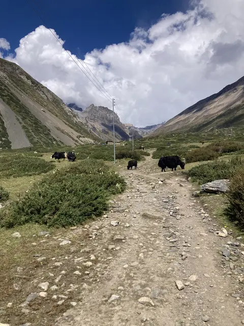 Foto: Stefan Liebhart