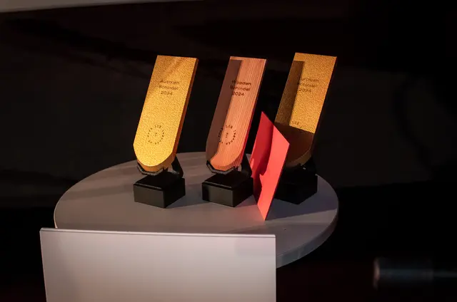 Die Goldene Schindel 2025 wurde verliehen. | Foto: Paul Krismer