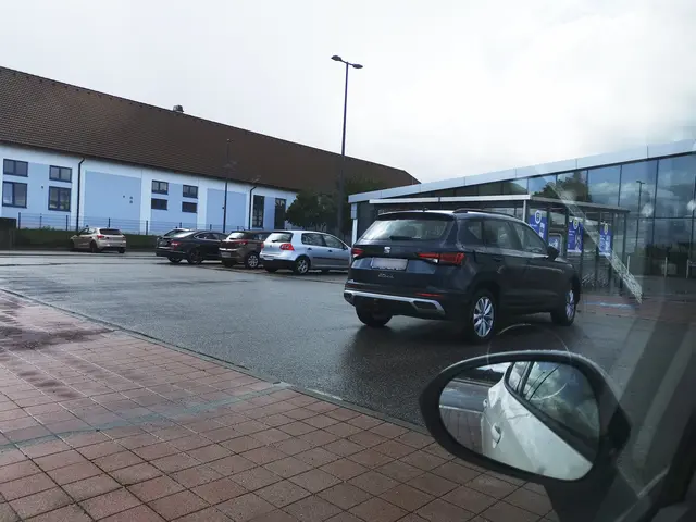 Kunstparker am Lidl-Parkplatz in Zwettl im Juli 2024. | Foto: privat
