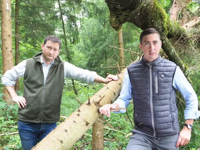 Kehrtwende bei der Entwaldungsverordnung: EU-Kommission lenkt ein. | Foto: NÖ Bauernbund