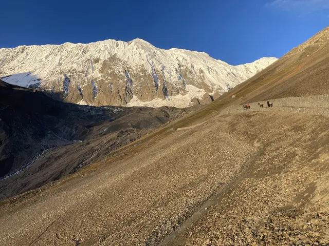 Foto: Stefan Liebhart