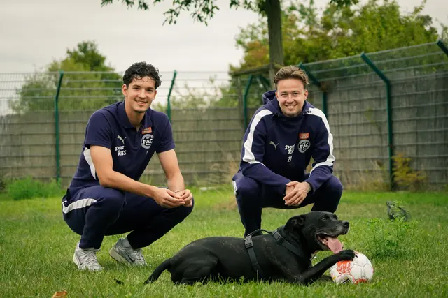 Um den Hunden im Tierquartier Wien mehr Sichtbarkeit zu verschaffen, verbrachten Spieler des FAC einen Tag im Tierheim. | Foto: TierQuarTier