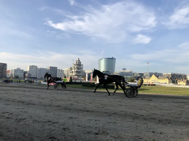 Foto: Kathrin Klemm/MeinBezirk