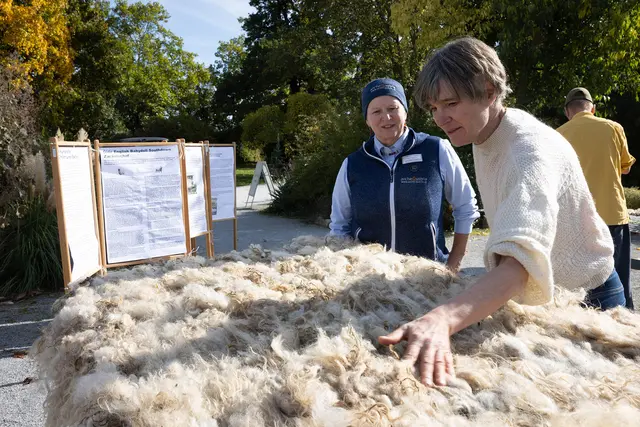 An einem Wochenende konnten alle Interessierten gemeinsam mit der Künstlerin Folke Köbberling selbst Hand anlegen und Wollwände herstellen. | Foto: koernoe/Esel