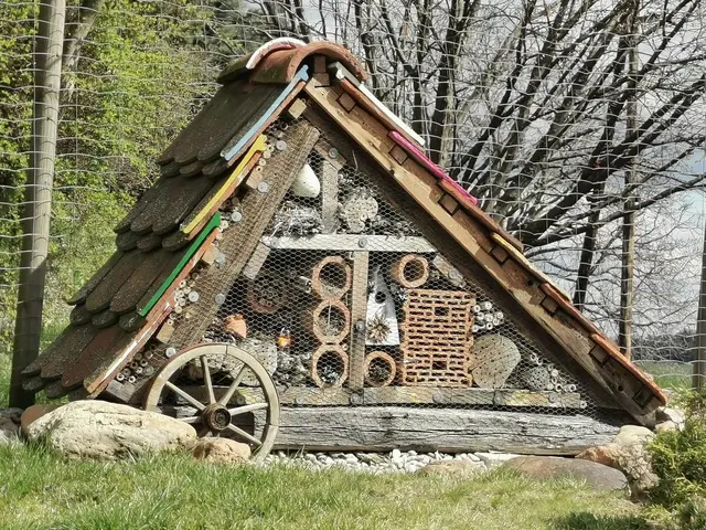 Insektenhotels im Garten sollten immer mit geeigneten Blüten-Restaurants ausgestattet sein. | Foto: Hermine Arnold