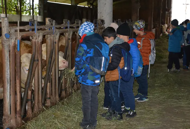 Die Wörgler Bäuerinnen gestalteten für Wörgler Volksschulkinder einen lehrreichen Schultag am Bauernhof. | Foto: Veronika Spielbichler