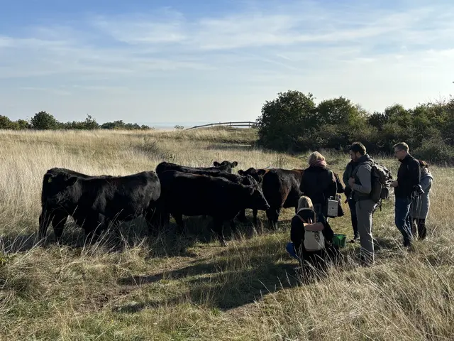 Foto: Barbara Babonitsch-Diewald