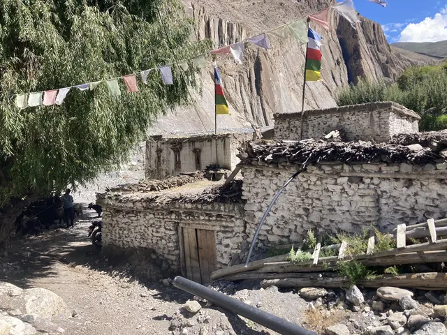 Foto: Stefan Liebhart