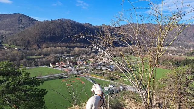 Blick von oben