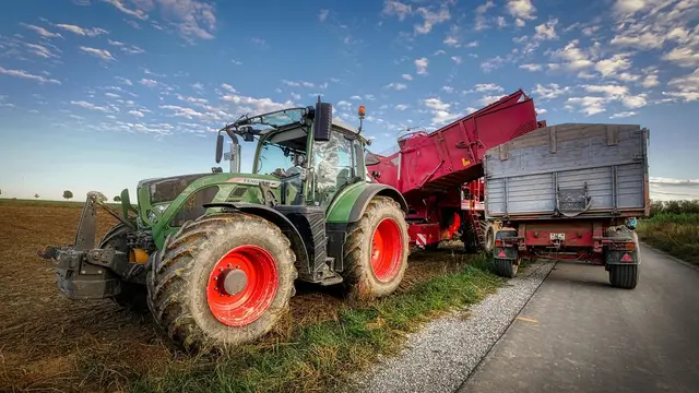 „Für 5 Cent pro Kilo lohnt sich keine Ernte mehr“, sagt der Landwirt aus Oberstinkenbrunn. | Foto: pixabay