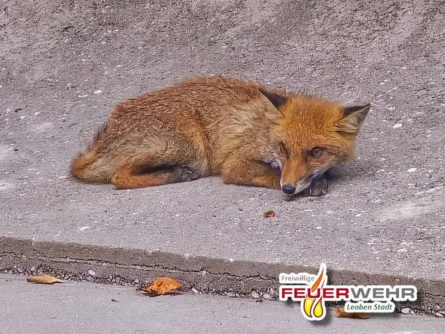 Die Leobener Feuerwehren erlebten diese Woche eine tierische Einsatzserie.  | Foto: FF Leoben-Stadt