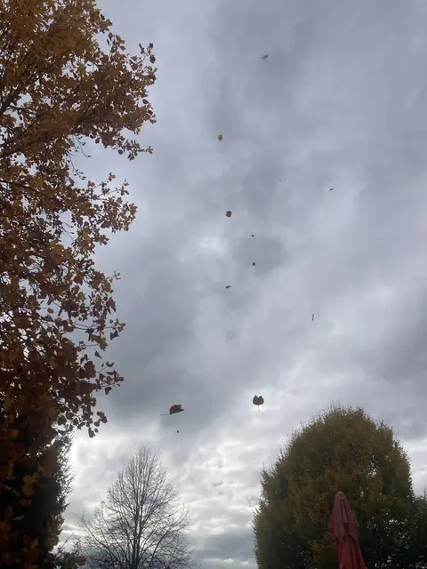 Erst als stärkerer Wind aufkam, verlagerte sich das Fest ins innere des Hauses