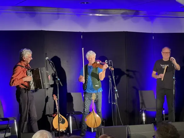 „Aniada a Noar“ spielten in Weiz auf. | Foto: Kunsthaus Weiz