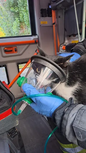 Foto: Stadt Wien | Feuerwehr- und Katastrophenschutz