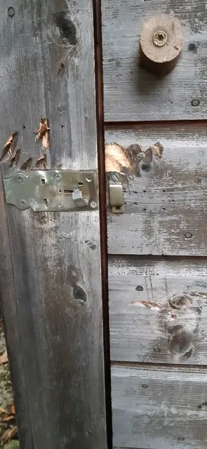 Die aufgebrochene Hütte. | Foto: Thomas Hofer