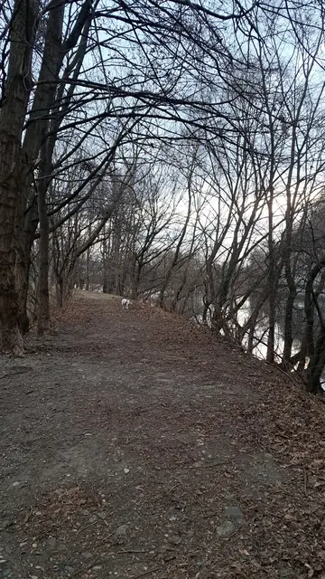 der letzte Winter der Allee