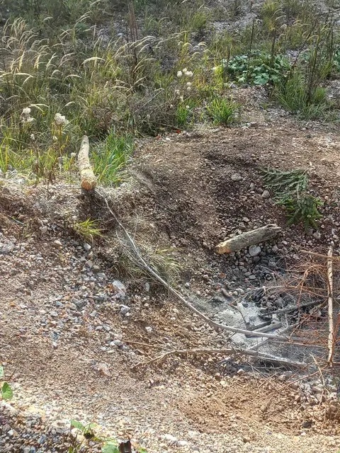 Feuerstelle mitten im Wald. | Foto: Thomas Hofer