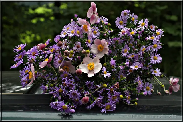 Gratulationen zum 85. Geburtstag in der Marktgemeinde Gresten | Foto: Gertraud Hölzl