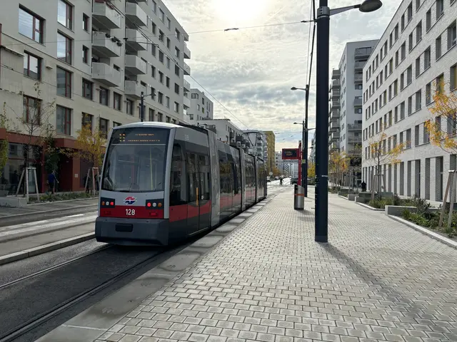 Wenn man die Endstation der Straßenbahn-Linie O erreicht, ist man zunächst von Leerstand umringt. Es lohnt sich aber ein zweiter Blick.  | Foto: Luca Arztmann/MeinBezirk