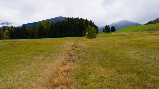 Insgesamt rund 1,7 Hektar groß ist die renaturierte Moorfläche in Nösslach. | Foto: Land Tirol/Rauch