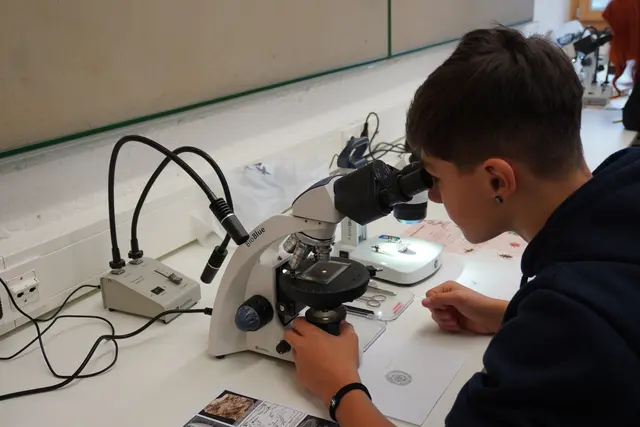 Das neu eröffnete MINT-Lab in Kematen ermöglicht einen Einblick in naturwissenschaftliche und technische Tätigkeitsfelder.  | Foto: AMG
