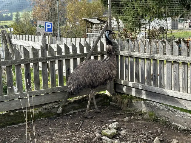 Foto: MeinBezirk/Angelika Kern