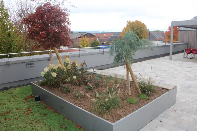 Foto: Josef Hofmüller