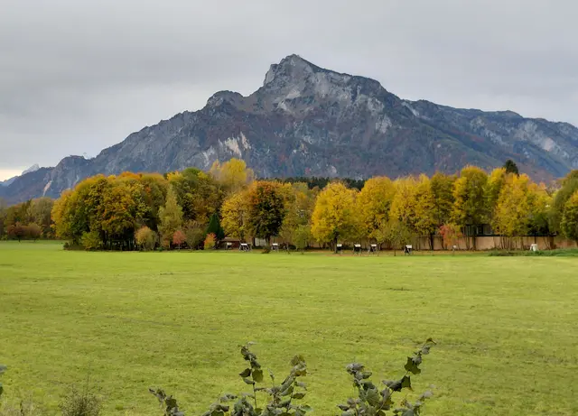Hellbrunner Allee und Untersberg  | Foto: H.Bachinger