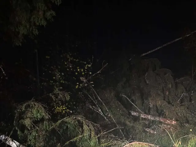 Foto: Freiwillige Feuerwehr Gattersdorf