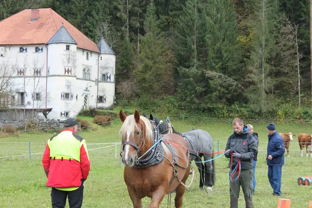 Foto: MeinBezirk/Carmen Rienzner