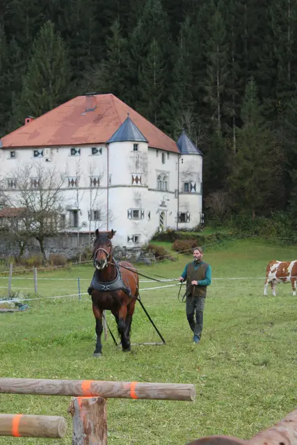 Foto: MeinBezirk/Carmen Rienzner