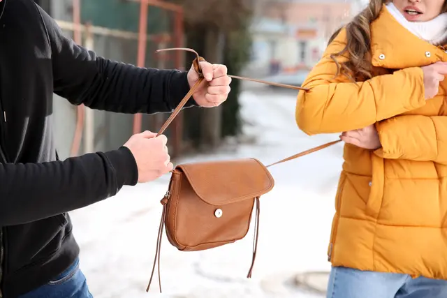 Nach dem Handtaschendiebstahl seien die zwei Täter in unbekannte Richtung stadtauswärts entkommen. (Symbolfoto) | Foto: stock.adobe.com/at/ Pixel-Shot 