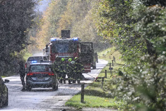 In Steinhaus blockierte am Freitagvormittag ein umgestürzter Baum in einem Waldstück teilweise die B138 Pyhrnpass Straße. | Foto: laumat.at