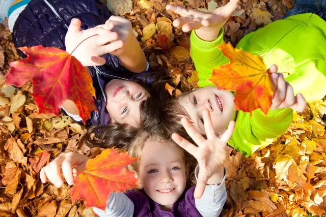 Foto: Adobe Stock
