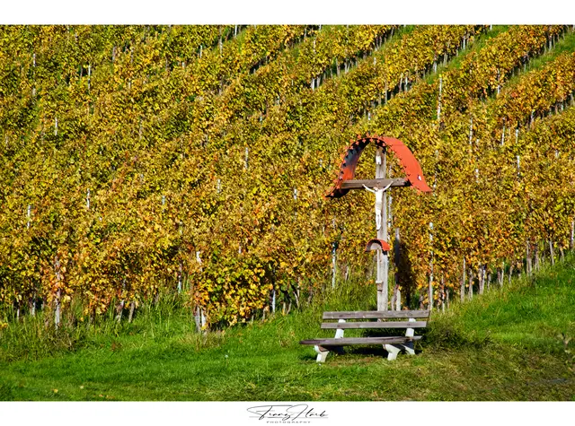 Foto: Copyright by Franz Harb