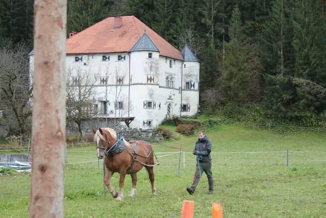 Foto: MeinBezirk/Carmen Rienzner