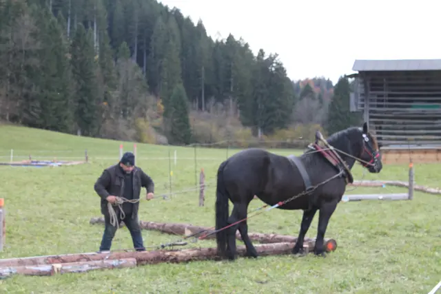 Foto: MeinBezirk/Carmen Rienzner
