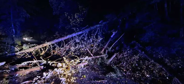 Foto: Freiwillige Feuerwehr Bodensdorf - Tschöran