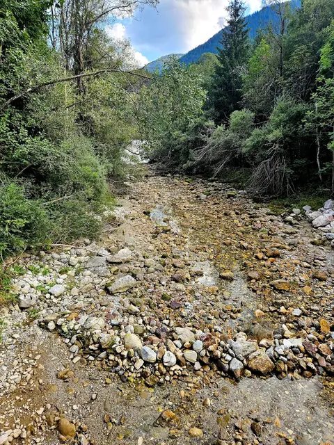 Nach wie vor trocknen Bäche aus, weil zu viel Wasser für die Stromproduktion entnommen wird und zu wenig Wasser im Bach verbleibt. | Foto: Fischereiverband