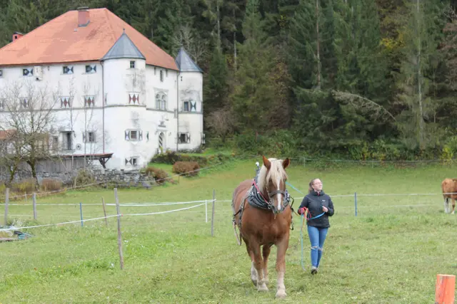 Foto: MeinBezirk/Carmen Rienzner