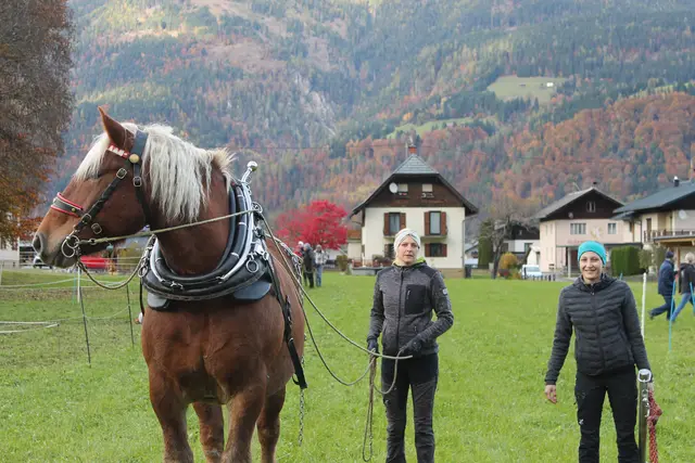 Foto: MeinBezirk/Carmen Rienzner