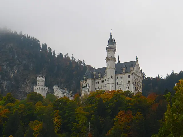 Ausflug nach Murnau - zur Wieskirche und einer Bootfahrt am Staffelsee
Neu Schwanstein im Vorbeifahren !