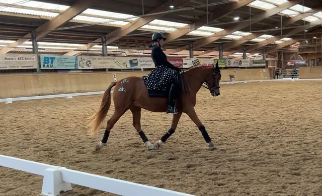 Carola Zeppetzauer und Desert Moon zeigten in Allhartsberg ihr Können.  | Foto: Zeppetzauer