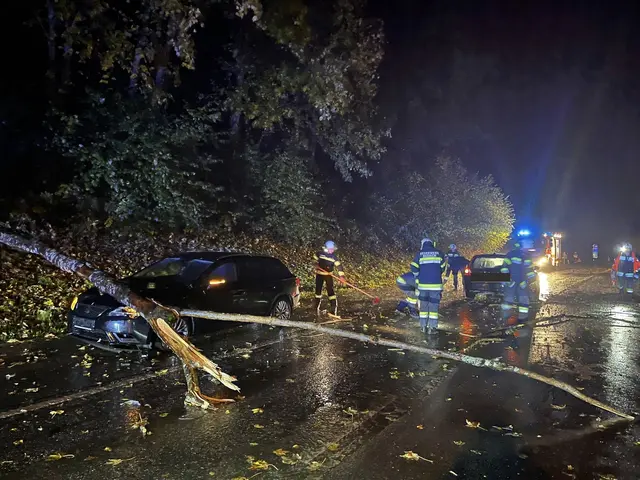 Auf der Ossiacher Süduferstraße stürzte ein Baum auf ein Fahrzeug. | Foto: Feuerwehr Ossiach